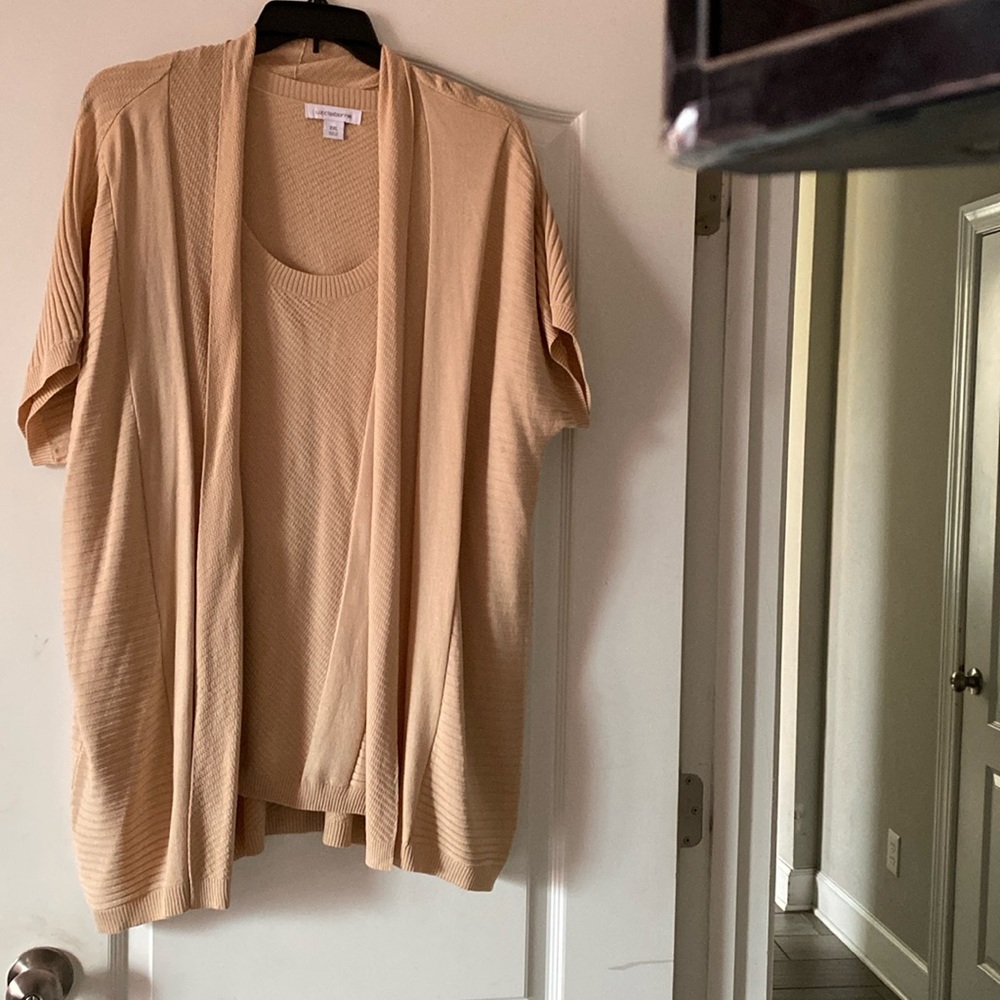 Women’s Light Weight Tan 2pc Short Sleeve Sweater Set